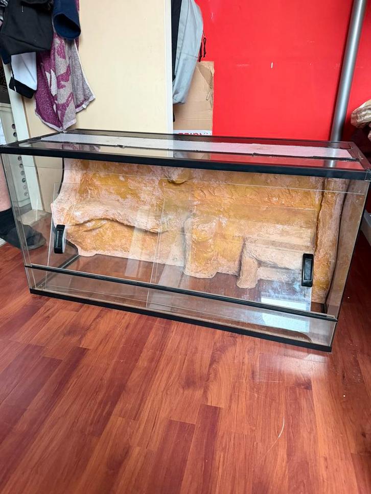 Mooi Terrarium 1005040 met 3D Achterwand – Glas – Goed, Dieren en Toebehoren, Reptielen en Amfibieën | Toebehoren, Zo goed als nieuw