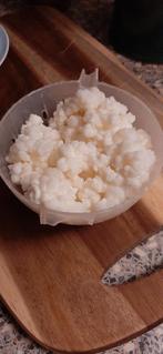 Stukje melkkefir gratis, Diversen, Levensmiddelen, Ophalen