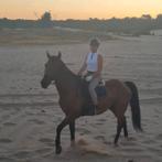 Trainig en Zadelmak maken D/E pony's en Friese paarden, Ophalen, Nieuw, Overige soorten