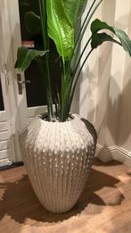 Strelitzia Nicolai plant met vaas, Huis en Inrichting, Woonaccessoires | Vazen, Ophalen, Steen, Overige kleuren, Zo goed als nieuw