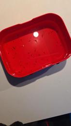 Guppen, Ophalen of Verzenden, Nieuw, Overige typen