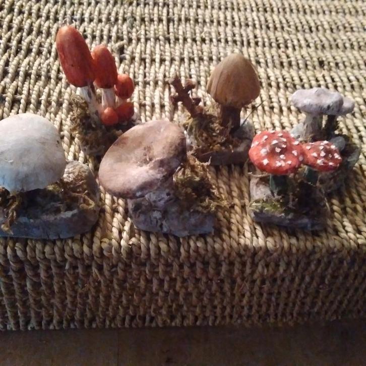 Prachtige paddenstoelen set.Handwerk!!!, Antiek en Kunst, Curiosa en Brocante, Verzenden