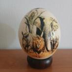 Struisvogel  , struis vogel ei big five afrika  , afrikaanse, Ophalen of Verzenden