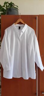 Nieuwe blouse maat 52-54 van Aida, Nieuw, Aida, Ophalen of Verzenden, Blouse of Tuniek