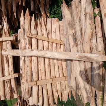 Palen Acacia hout, boompaal, weidepaal,  beschikbaar voor biedingen