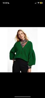 Studio Anneloes vest dames gebreid coco groen mt L, Ophalen of Verzenden, Zo goed als nieuw, Maat 42/44 (L), Groen