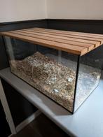 Dwerg hamster kooi.   Lengte 60 .  Hardhout deksel, Minder dan 60 cm, Kooi, Ophalen of Verzenden, Zo goed als nieuw