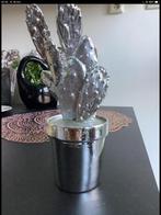 Cactus, Ophalen of Verzenden, Zo goed als nieuw, Overige typen