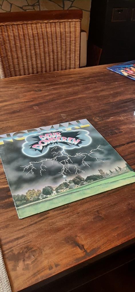Normaal: Deurdonderen + songtekst, Cd's en Dvd's, Verzenden, Gebruikt, 12 inch, Nederlandstalig