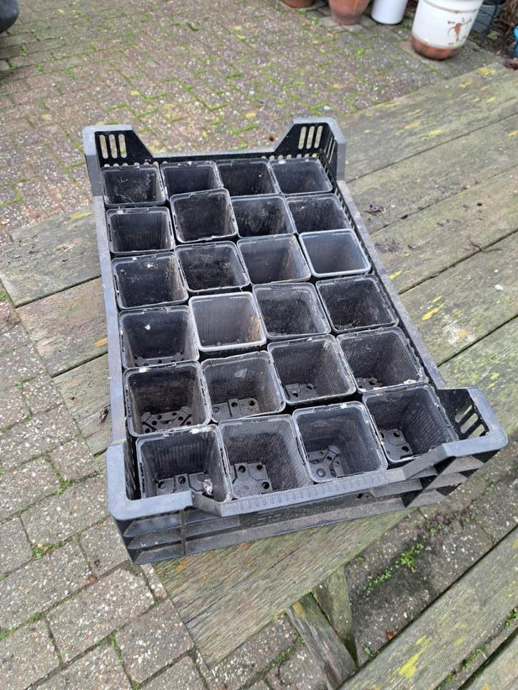 P9-P12 potten incl.toebehoren, Tuin en Terras, Kweekspullen, Gebruikt, Overige typen, Ophalen