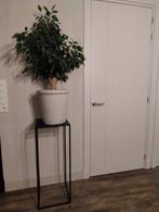 Pilaar zuil, Huis en Inrichting, Woonaccessoires | Zuilen en Pilaren, Ophalen, Gebruikt