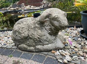 Parasolvoet beton schaap beschikbaar voor biedingen