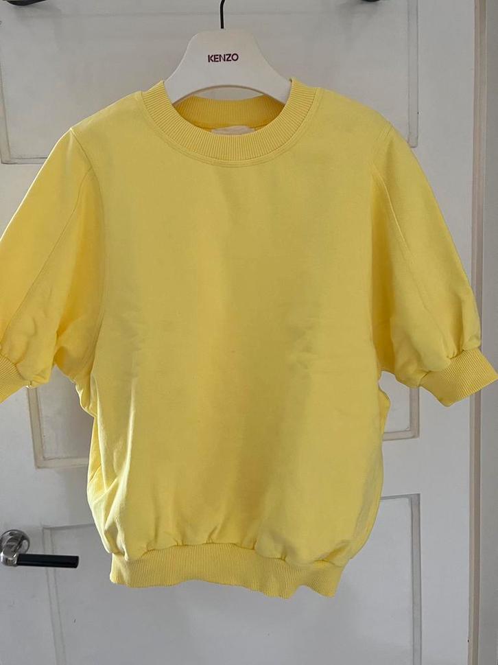 American Vintage Gele Sweater NIEUW- Maat L 40 ️, Kleding | Dames, Truien en Vesten, Nieuw, Maat 42/44 (L), Geel, Ophalen of Verzenden