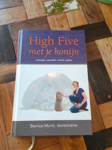 Bernice Muntz - High five met je konijn beschikbaar voor biedingen