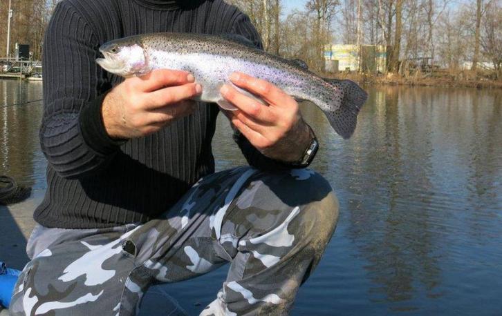 2 Sets van 4 Propellervliegen voor Forel - Baars - snoek, Watersport en Boten, Hengelsport | Vliegvissen, Nieuw, Complete set