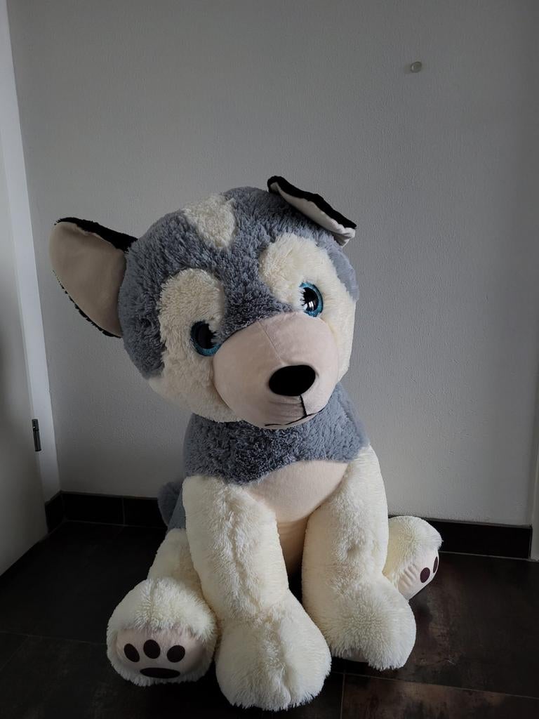 Grote Husky hond knuffel XXL, Ophalen, Gebruikt, Hond