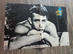 Poster Pakket: James Dean - 10 Posters!, Ophalen of Verzenden, A1 t/m A3, Film en Tv