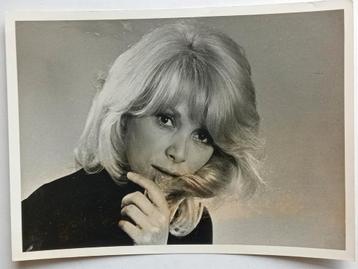 Vintage Foto Nathalie Delon beschikbaar voor biedingen