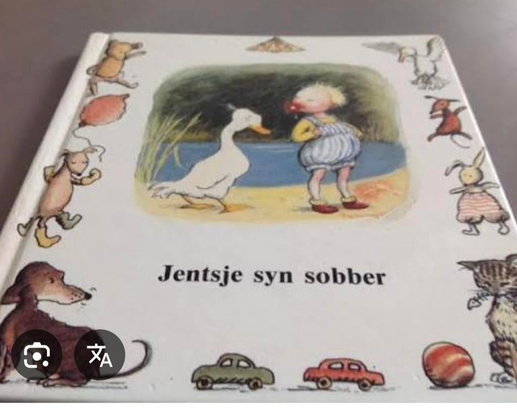Jentsje syn sobber - Gezocht!, Boeken, Ophalen of Verzenden, Gelezen, Onbekend, 2 tot 3 jaar