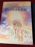 2 Oude Zangbundels - Youth for Christ & Kinderliederen, Ophalen of Verzenden, Gelezen, Christendom | Katholiek