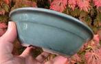 Bonsai schaal blauw-groen geglazuurd Japans aardewerk 17,9x5, Rond, Ophalen of Verzenden, Zo goed als nieuw, Minder dan 25 cm