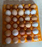 🐓🐔🍳🥚Kakelverse eieren!🥚🍳🐔🐓, Dieren en Toebehoren, Ophalen of Verzenden