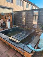 Koi vissen plus filters , en toebehoren zie omschrijving, Ophalen, Zo goed als nieuw