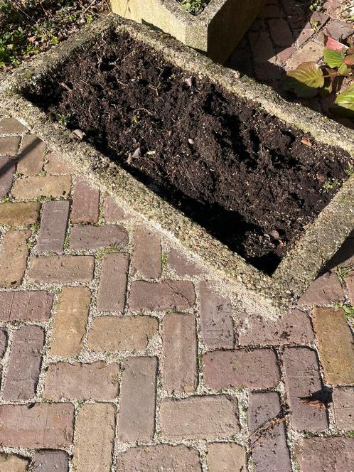 Betonnen varkens troggen in verschillende maten, Tuin en Terras, Bloembakken en Plantenbakken, Gebruikt, 30 tot 60 cm, 60 tot 100 cm