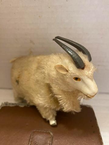 Beweegbare bok beschikbaar voor biedingen