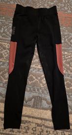 Paardrijbroek, 146/152, Ophalen of Verzenden, Zo goed als nieuw, Meisje, Overige typen