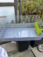 Cavia/ hamster kooi, Ophalen, Kooi, 60 tot 90 cm, Zo goed als nieuw