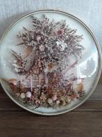lijst met bol glas. droogbloemen in lijst/ bol glas, Antiek en Kunst, Curiosa en Brocante, Ophalen of Verzenden