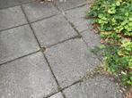 Betontegels 50x50 - Gratis af te halen, Tuin en Terras, Tegels en Klinkers, Ophalen, Gebruikt, Minder dan 5 m², Beton