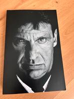 Holleeder - Het Complete Verhaal, Ophalen of Verzenden, Gelezen, Politiek