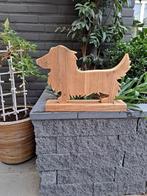 Teckel, Ophalen of Verzenden