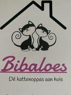 Bibaloes, de professionele kattenoppas aan huis