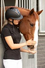 Harry's Horse Cap Matterhorn Mat, 53-55, 56-58, 59-61 cm, Nieuw, Ophalen of Verzenden, Cap, Kinderen