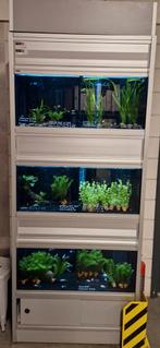 Aquarium stelling, Dieren en Toebehoren, Ophalen, Zo goed als nieuw, Leeg aquarium