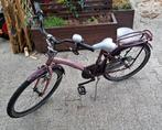 Loeki Batavus Gabama fiets 24 inch, Fietsen en Brommers, Fietsen | Vouwfietsen, Ophalen, Gebruikt, 20 inch of meer, Batavus