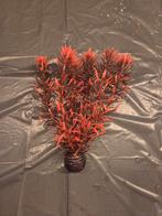 Rood aquarium plantje nep, Dieren en Toebehoren, Vissen | Aquaria en Toebehoren, Ophalen, Zo goed als nieuw, Plant(en), Steen of Hout