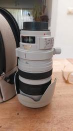 Canon EF 28-300mm F/3.5-5.6 L IS USM, de lens die alles kan, Ophalen of Verzenden, Gebruikt, Telelens, Zoom