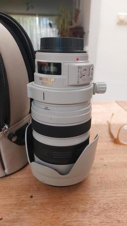Canon EF 28-300mm F/3.5-5.6 L IS USM, de lens die alles kan, Audio, Tv en Foto, Fotografie | Lenzen en Objectieven, Gebruikt, Telelens