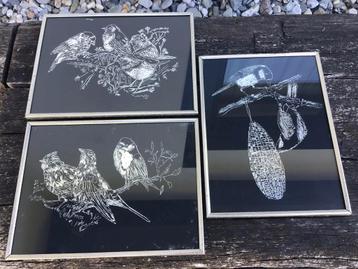 3 vogel schilderijen beschikbaar voor biedingen