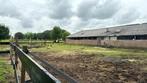 paddockgenootje gezocht, paddock aangeboden, Dieren en Toebehoren, Stalling en Weidegang, 1 paard of pony