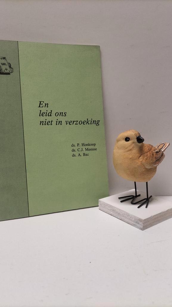 Honkoop, Ds. P. e.a.; En leid ons niet in verzoeking, Boeken, Godsdienst en Theologie, Gelezen, Christendom | Protestants, Ophalen of Verzenden