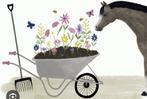 Schone paarden mest, vrij van stro!, Tuin en Terras, Aarde en Mest, Ophalen, Mest