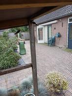 Roodmussen, Meerdere dieren