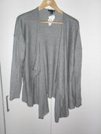 H&M Basic Grijs Vest Maat XL (NIEUW+KAARTJE), H&M, Verzenden, Maat 46/48 (XL) of groter, Nieuw