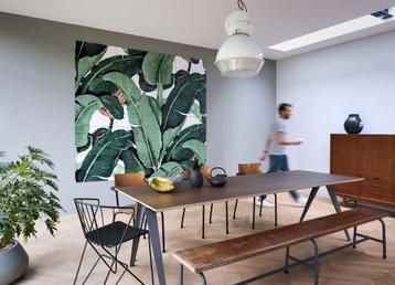 Prachtige grote Banana Leaf IXXI! 160x120 beschikbaar voor biedingen