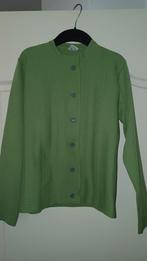Vintage groen vestje met grijze knoopjes, Ophalen of Verzenden, Zo goed als nieuw, Maat 42/44 (L), Groen